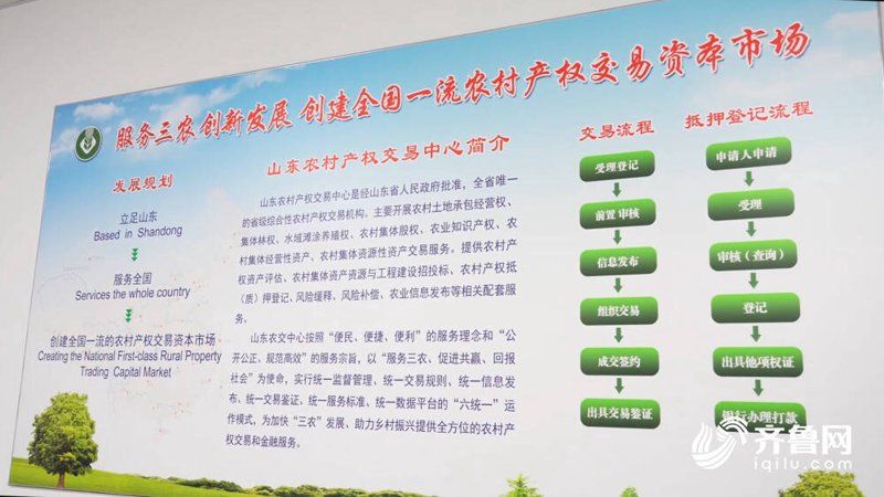 南方产权交易中心:引领经济发展新趋势